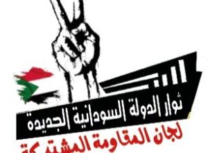 ثوار الدولة السودانية