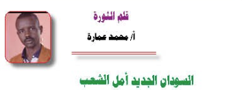 محمد عمارة