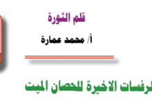 أ/ محمد عمارة ۔