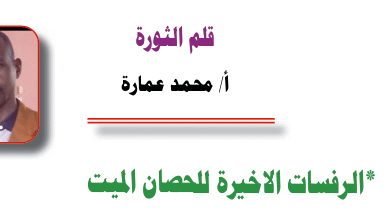 أ/ محمد عمارة ۔