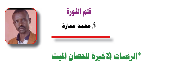 أ/ محمد عمارة ۔