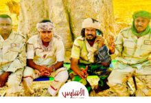السافنا