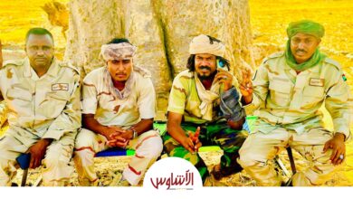 السافنا