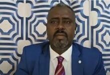 الباشا طبيق مستشار الدعم السريع