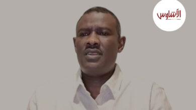 عبدالمنعم الربيع