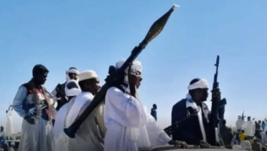 الدبة