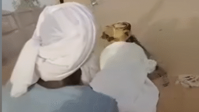 اشتباك بين الكبابيش والهواوير
