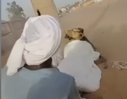 اشتباك بين الكبابيش والهواوير