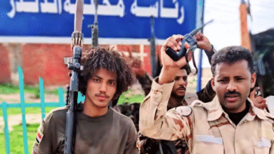 الشهيد البيشي