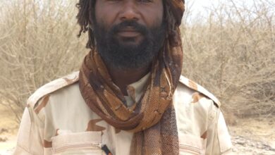 ابراهيم الضي