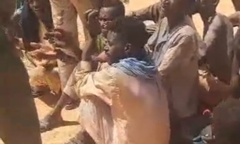 الصحراء