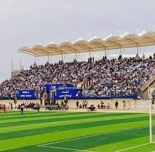 استاد نيالا