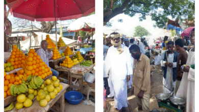 سوق الضعين الكبير .. نبض يتجاوز التحديات ويفتح الأبواب ..
