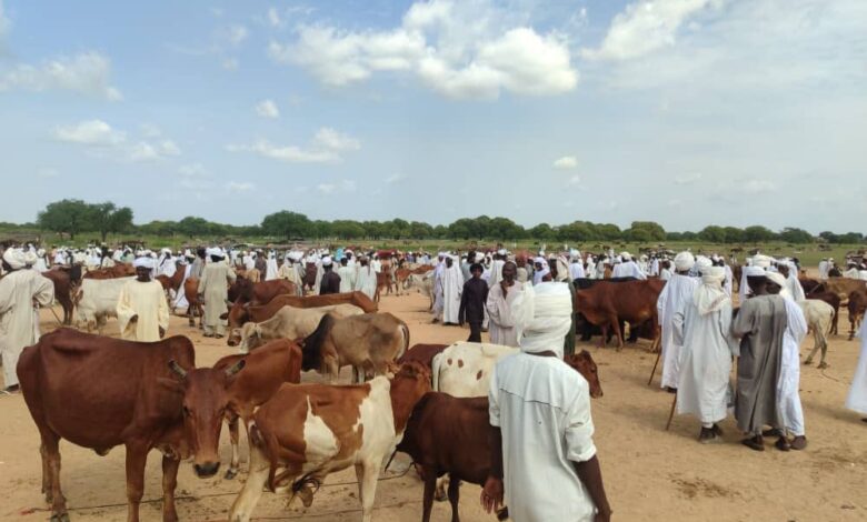 عسلاية