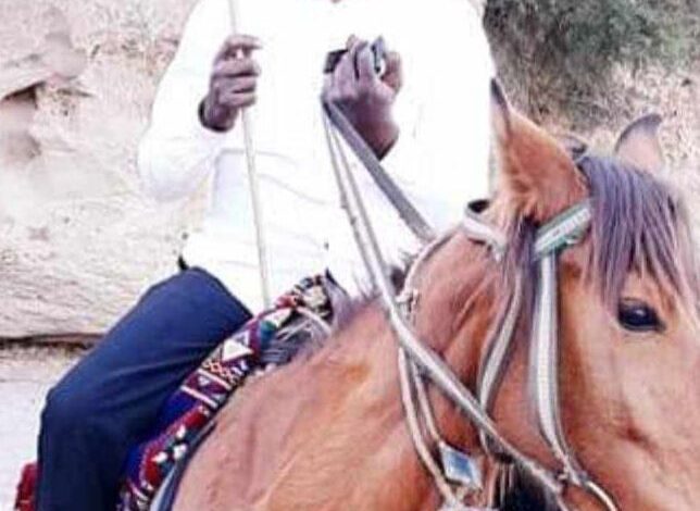 ابارهيم الضي