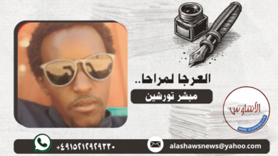 مبشر تورشين