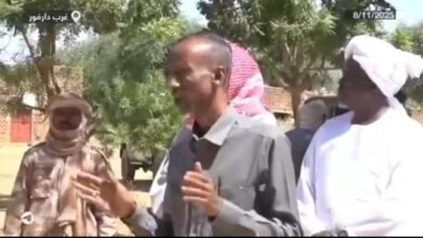 رئيس الإدارة المدنية بولاية غرب دارفور، تجاني طاهر كرشوم