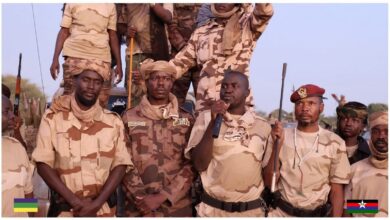 حركتي تجمع قوى تحرير السودان والمجلس الانتقالي