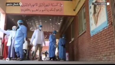 حملة لمكافحة البعوض ونواقل الأمراض في الفاشر