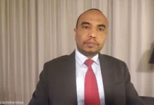 محمد المختار