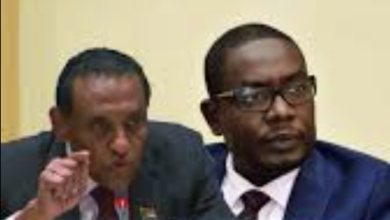 التعايشي وكامل ادريس