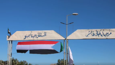 الفاشر تتعافى