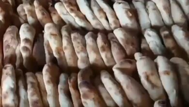 تدشين أفران مدعومة لتخفيف أعباء المعيشة عن المواطنين بقارسيلا