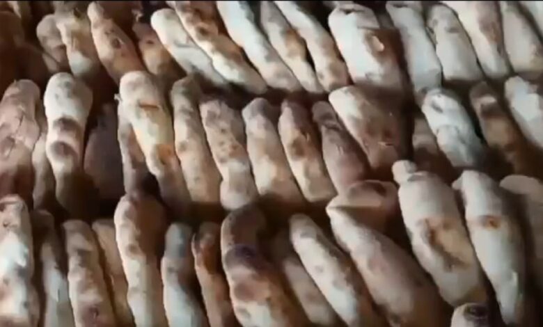 تدشين أفران مدعومة لتخفيف أعباء المعيشة عن المواطنين بقارسيلا