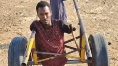 محمد إبراهيم البشاري