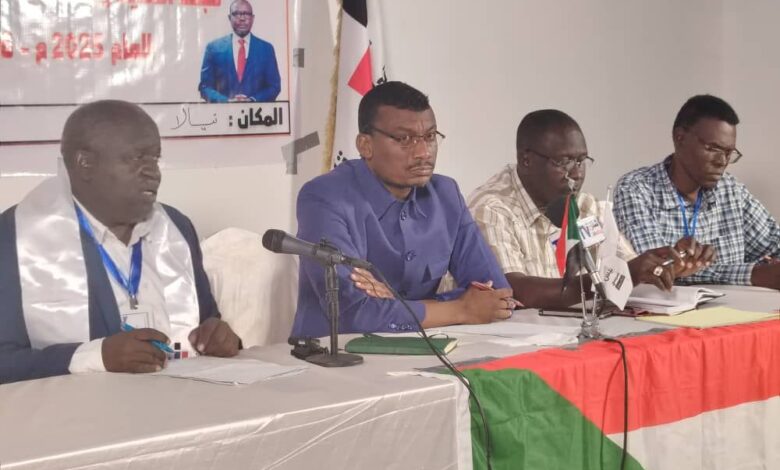 جنوب دارفور