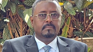 وزير النفط والطاقة الباشا طبيق