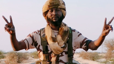 البطل/ شُعيب إسماعيل قائد المجموعة ٣٠٢ مدفعية محور الدلنج