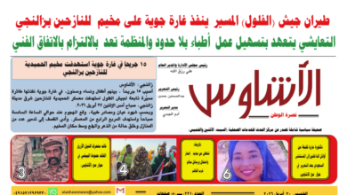 ⭕العدد (221) | صحيفة الأشاوس