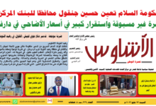 ⭕العدد (229) | صحيفة الأشاوس