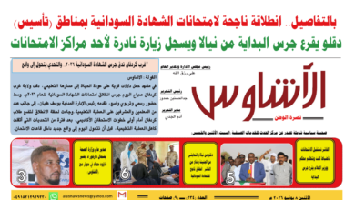 🗞️العدد (234) | صحيفة الأشاوس