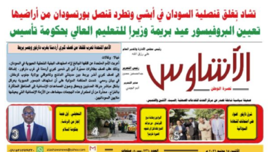 🗞️العدد (236) | صحيفة الأشاوس