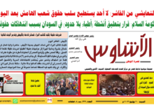 🗞️العدد (237) | صحيفة الأشاوس