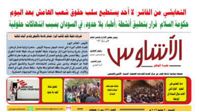 🗞️العدد (237) | صحيفة الأشاوس