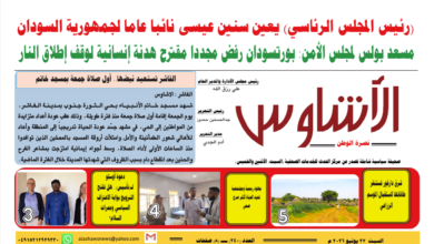 🗞️العدد (240) | صحيفة الأشاوس