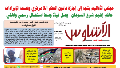 🗞️العدد (245) | صحيفة الأشاوس