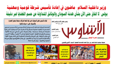 🗞️العدد (247) | صحيفة الأشاوس