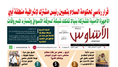 🗞️العدد (251) | صحيفة الأشاوس
