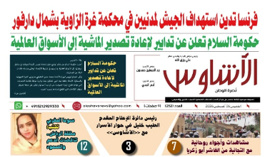 🗞️العدد (252) | صحيفة الأشاوس