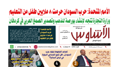 🗞️العدد (253) | صحيفة الأشاوس