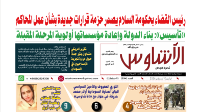 🗞️العدد (254) | صحيفة الأشاوس