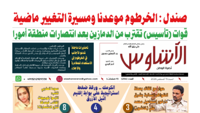 🗞️العدد (256) | صحيفة الأشاوس