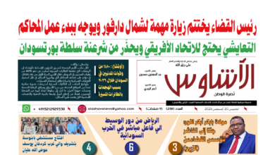 🗞️العدد (258) | صحيفة الأشاوس