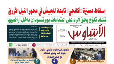 🗞️العدد (260) | صحيفة الأشاوس