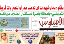 🗞️العدد (264) | صحيفة الأشاوس