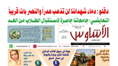 🗞️العدد (264) | صحيفة الأشاوس